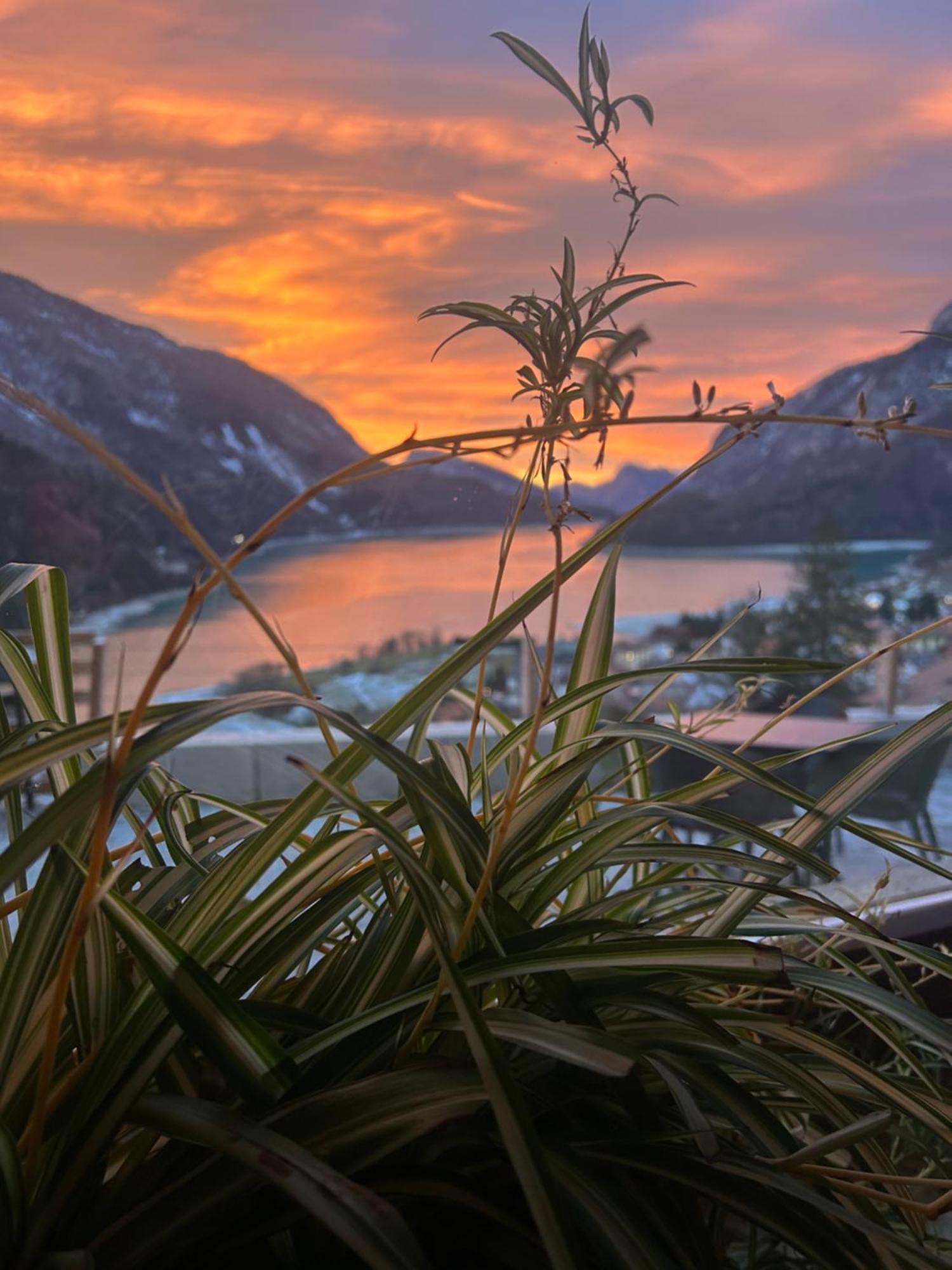 Hotel Aurora โมลเวโน ภายนอก รูปภาพ